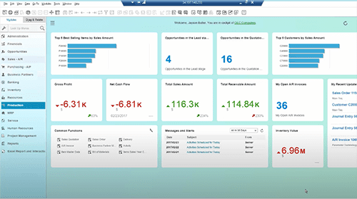 sap business one demo screen