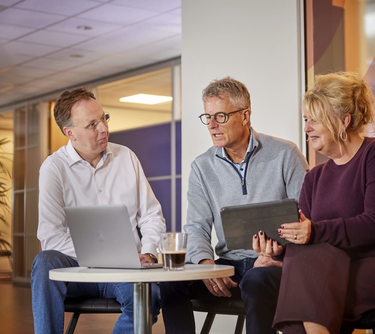 ERP adviseurs project of aanbesteding RFP RFI