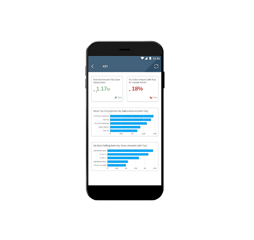 Analyses en rapporten
